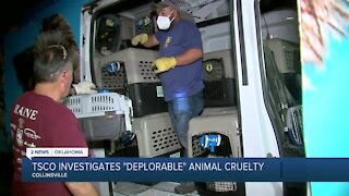 TCSO Investigates deplorable animal cruelty