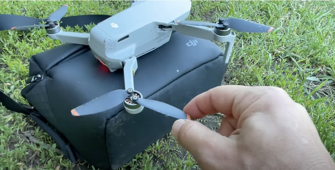 Bees ATTACK Our DJI Mini 2 - Aggression or Attraction?