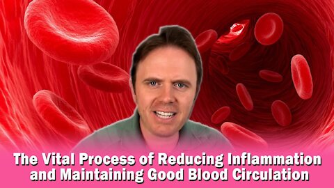The Vital Process of Reducing Inflammation and Maintaining Good Blood Circulation
