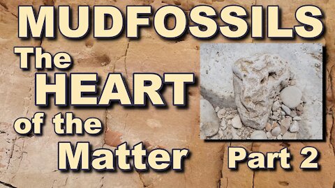 MUDFOSSILS - The HEART of the Matter - Part 2