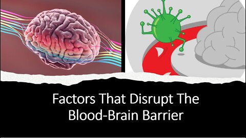 Factors That Disrupt the Blood Brain Barrier