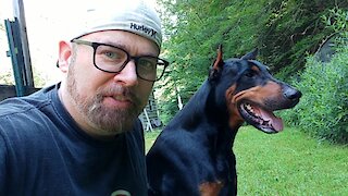 Doberman Pinscher saves owner from snake while filming