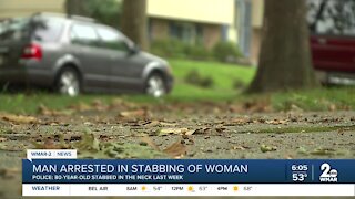Man arrested in stabbing of elderly woman