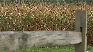 Work continues for Northeast Ohio farmers during pandemic, along with uncertainty