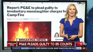 PGE pleads guilty