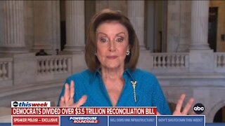 Pelosi Claims 'Everyone Overwhelming' Supports Biden's Vision