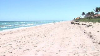 South Florida beach closures could help marine life, water quality