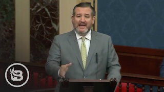 Ted Cruz EXPLODES on Chinese Communist Party From Senate Floor
