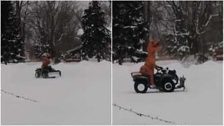 Anche i dinosauri si divertono sulla neve!