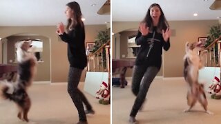 Dancing dog has the best time busting a move with her owner