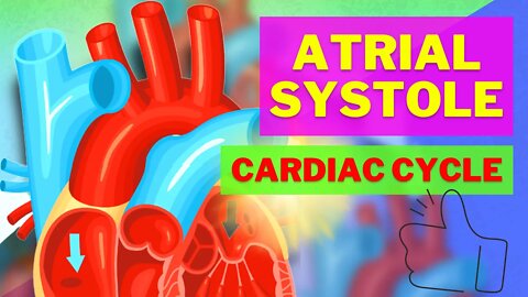 The Cardiac Cycle Phase 1 - Atrial Systole Made EASY!!