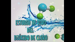 PRIMER ESTUDIO IN VIVO del DIÓXIDO DE CLORO ¿es realmente tóxico?