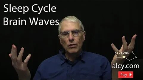 246 Sleep Cycle Brain Waves