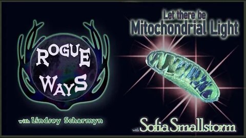Let There Be Mitochondrial Light! with Sofia Smallstorm