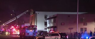 4 people dead in apartment fire