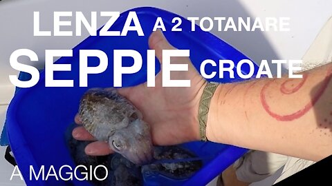 CROATIAN Cuttlefish from the boat🇭🇷🇭🇷🇭🇷 TUTORIAL FOR A FISHING LINE WITH TWO LURE