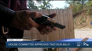 House Committee Approves Two Gun Bills