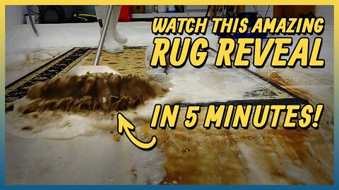 Rug Was Left Behind a Shed For Months | 5 Minute Satisfying Time Lapse