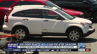 Dog owner reunited with stolen pup after carjacking