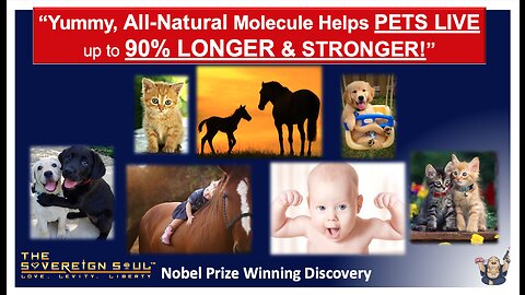 🤩This All-NATURAL Molecule HELPS Your PETS LIVE LONGER & STRONGER by up to a WHOPPING 90%