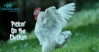 PICKIN' ON THE CHICKEN - Instrumental Country Music, Country Music, Chicken Picking, Guitar, Piano