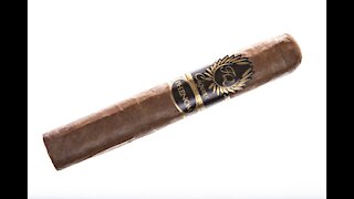 FQ Phenom No3 Robusto Cigar Review