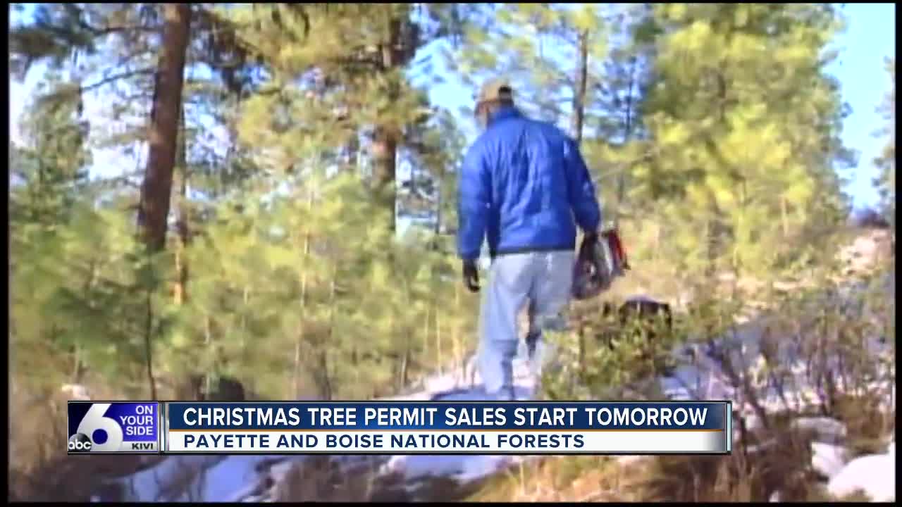 Christmas Tree forest permits