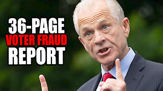 Peter Navarro Released 36-Page Report of Election Fraud