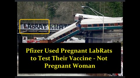 Naomi Wolf: Pfizer Used Pregnant Labrats to Test Their Covid Vaccine and NOT Pregnant Women