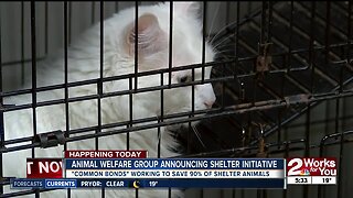 Animal welfare group announcing shelter initiative