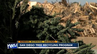 San Diego offers dozens of drop-off spots for Christmas Tree recycling