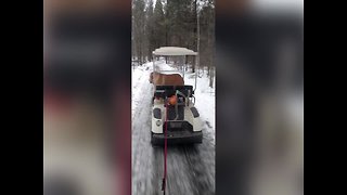 Dog goes for a Spin on Golf Cart