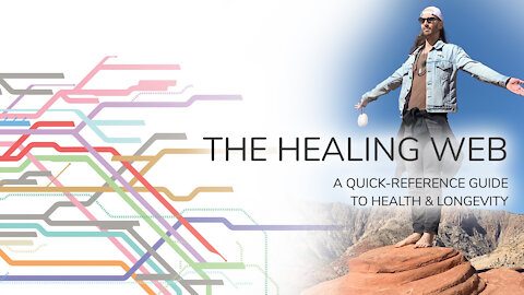 The Healing Web presented by Dylan Louis Monroe at BIOMED Expo, Las Vegas. Oct 24, 2020