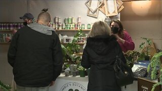 Plant and Pottery Pop-up Shop blooms in South Euclid