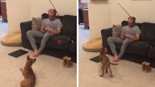 Man Gets Creative With New Pup's Toy.