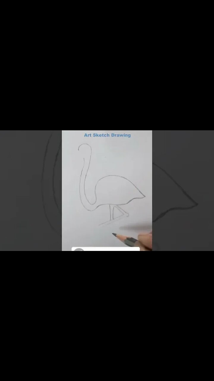 Easy Flamingo Pencil Drawing Tutorial Shorts shorts shortsvideo 