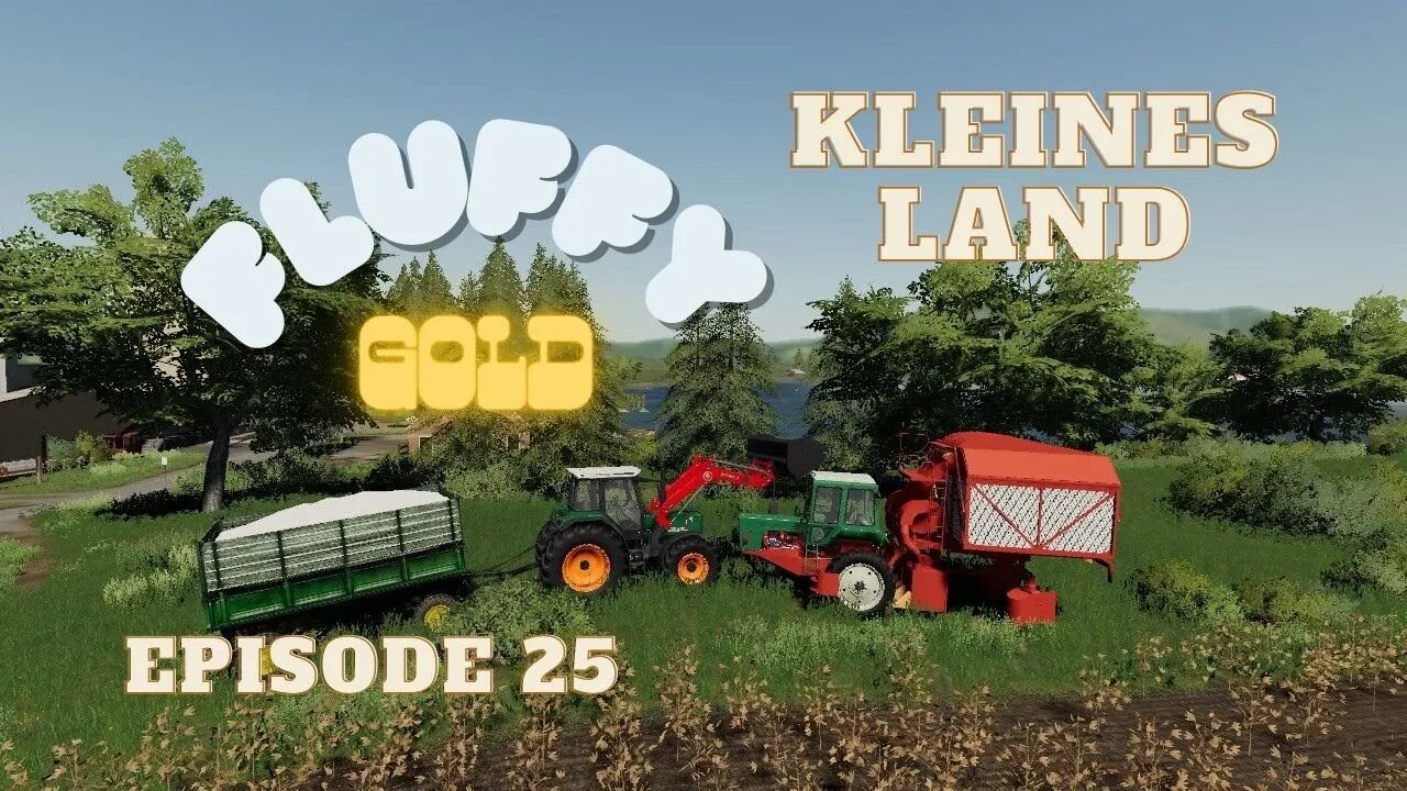 Kleines Land Episode 25 Fluffy Gold Lets Play Pc Fs19 5734