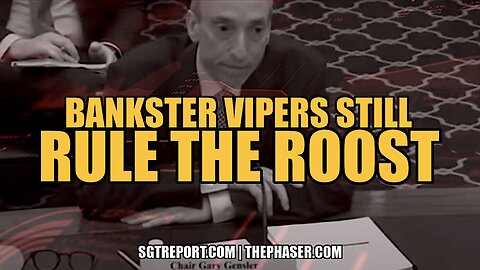 BANKSTER VIPERS STILL RULE THE ROOST