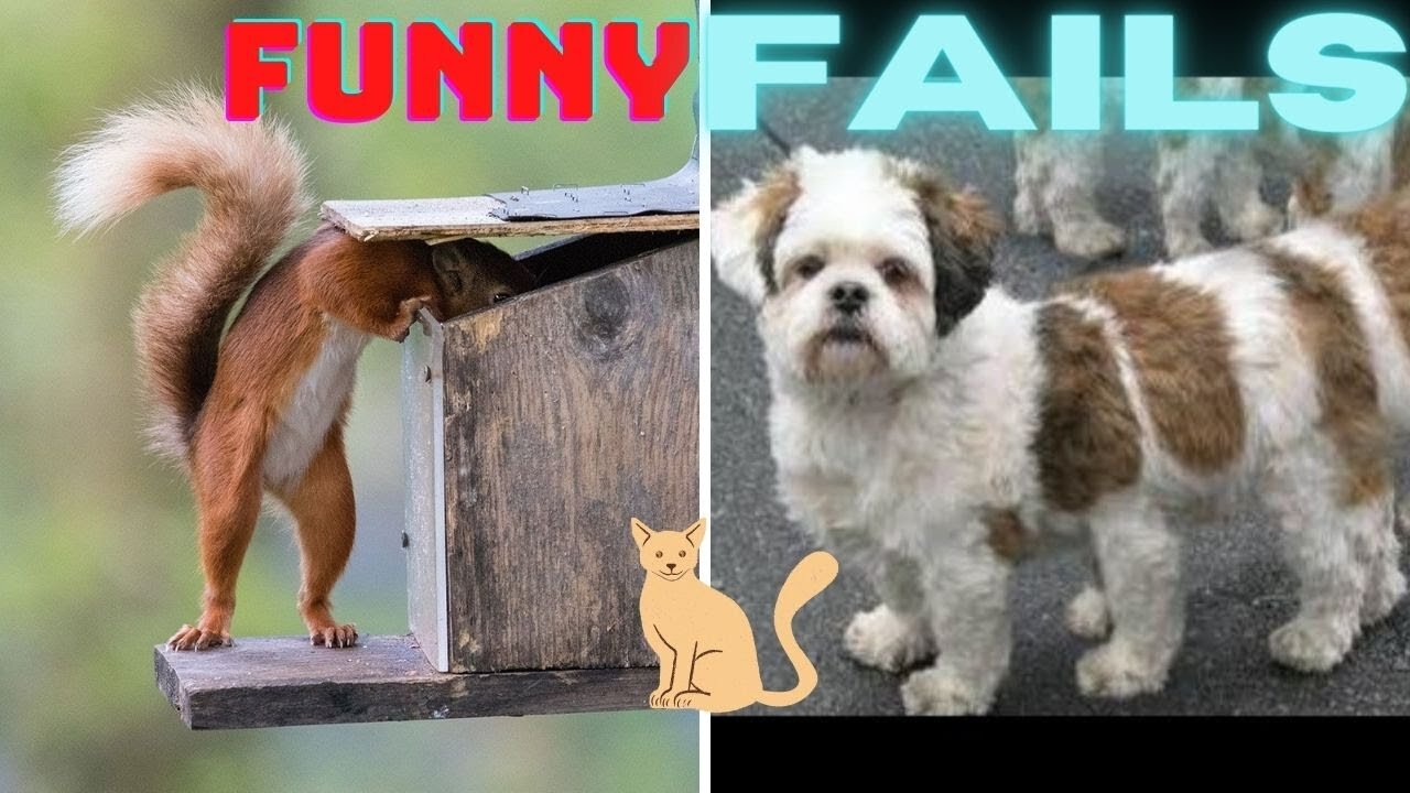 funny animal fail pictures
