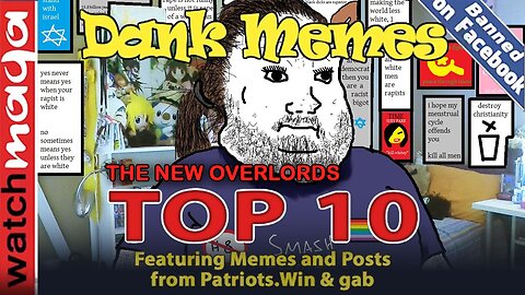 The New Overlords: TOP 10 MEMES