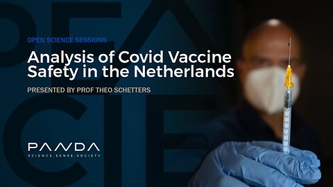Analysis of Covid Vaccine Safety in the Netherlands | Dr Theo Schetters
