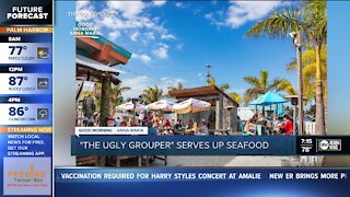 Interview with Ugly Grouper GM