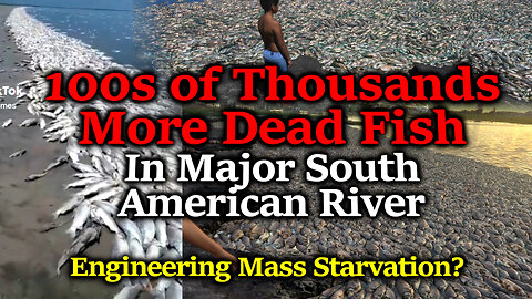 Worldwide Engineered Genocide?! Colossal South America Fish Kill: 100s of Thousands More DEAD FISH!