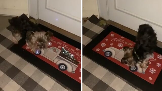 Grinch doggy hates singing Christmas door mat