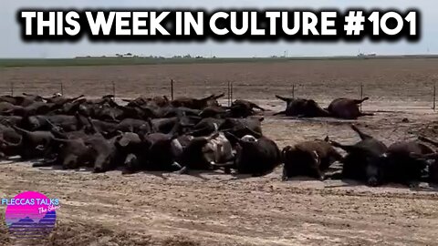 THIS WEEK IN CULTURE #101