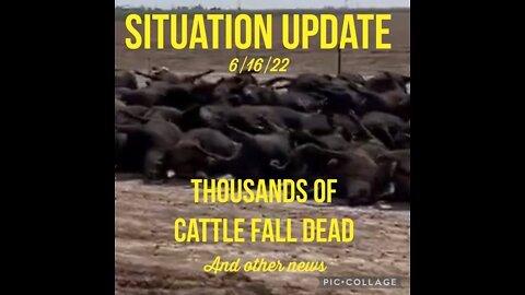 SITUATION UPDATE 6/16/22