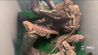ReptiDay returns to Southwest Florida