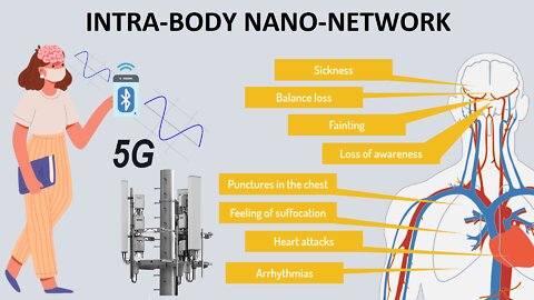 REVIEW: The MAC phenomenon and the intra-body nano-network of communications