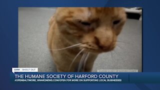 The Humane Society of Harford County