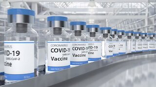 2030 UnMasked - Covid Vaccine Variants